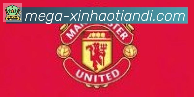 新濠天地平台官方平台合作伙伴